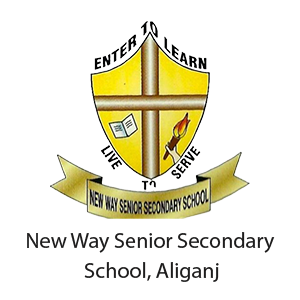 New Way Senior Secondary logo